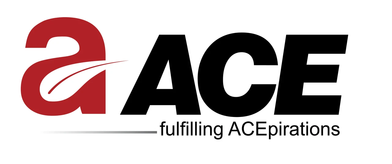 acegroupsproject.com